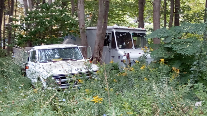 A common sight: old work horses returning to the earth.